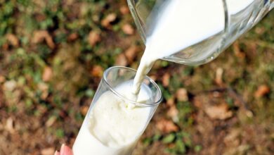 Eksport polskiego mleka do Chin wykazuje tendencję wzrostową.