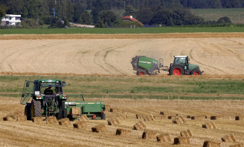 Susze na terenach rolnych w bieżącym roku stanowiły problem, ale nieco mniejszy aniżeli w roku 2020.