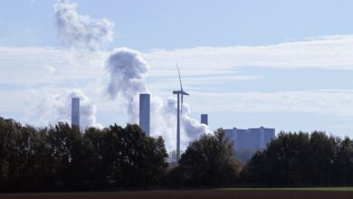 W sobotę polskie elektrownie obciążone były rekordowo.