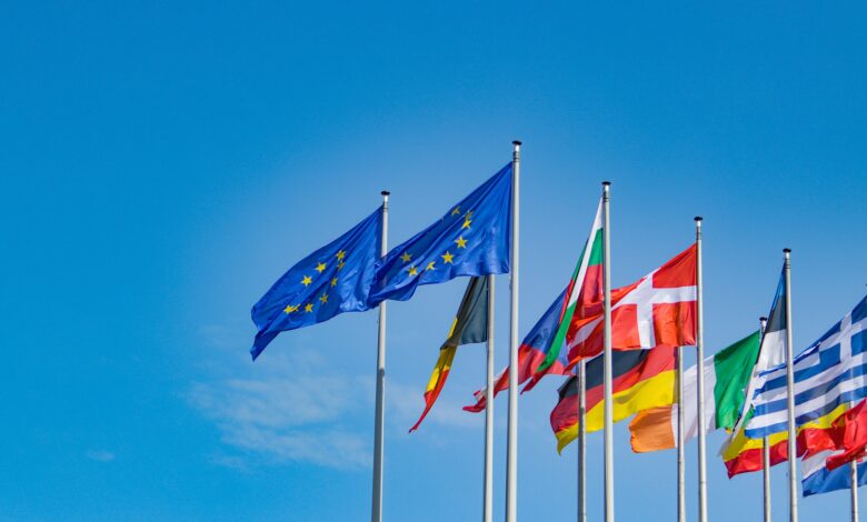 Obrazek przedstawiający flagę UE oraz flagi niektórych państw członkowskich