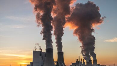 Elektrownie węglowe codziennie generują toksyczne zanieczyszczenia. Jakie konsekwencje ma to dla zdrowia Polaków?