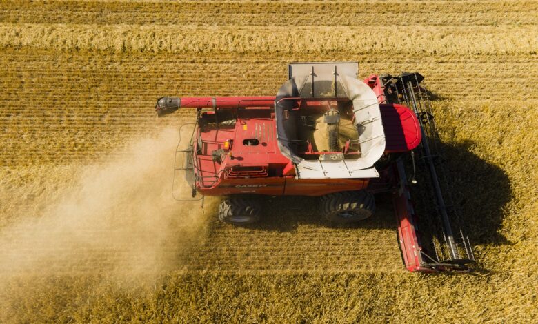 Rosja zakazuje eksportu zbóż