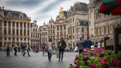 Gwarancja zatrudnienia w Belgii
