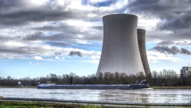 Jak wskazuje PIE, energia wytwarzana w elektrowniach jądrowych będzie nawet czterokrotnie tańsza niż energia z elektrowni węglowych.