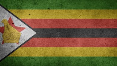 Zimbabwe zakaz eksportu litu