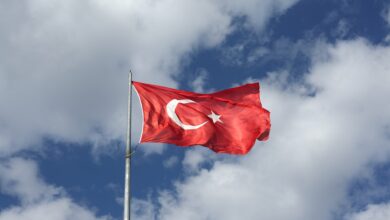 Tureckie firmy obchodzą sankcje 